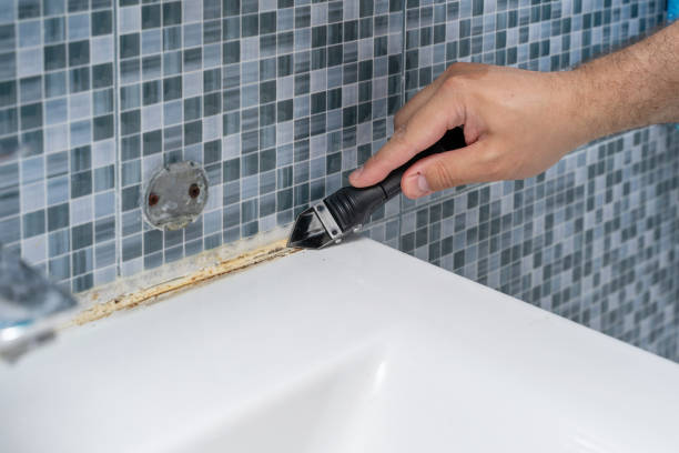Best Mold Removal Process  in Independence, LA